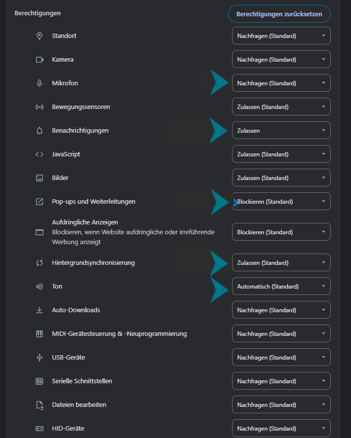 Auf der Websiteeinstellungen Ansicht sieht man alle Einstellungen und Berechtigungen, die wichtigsten sind hier markiert. Wichtig ist, dass die Berechtigung auf "Zulassen" steht.